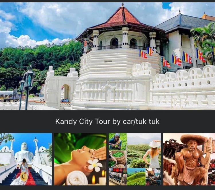 Hotel Mountain View Kandy Zewnętrze zdjęcie